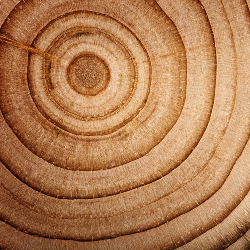 madera-de-cedro-fondo